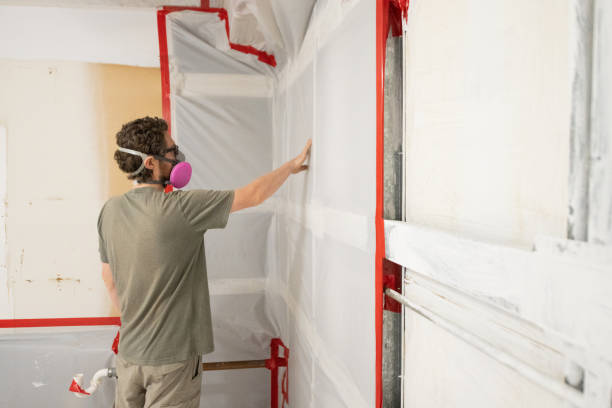 Best Mold Removal for HVAC Installations  in Needville, TX